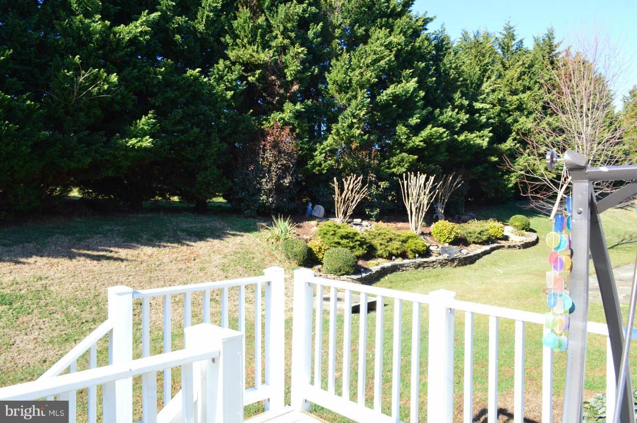 828 Fox Den Road Culpeper, VA 22701 - Photo 4 of 30 Exterior (Rear)