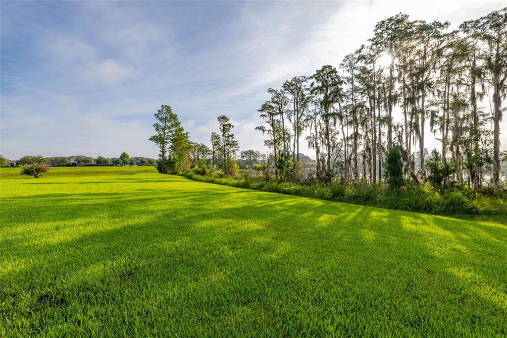 9549 Bolero Road Winter Garden, FL 34787 - Photo 48 of 60