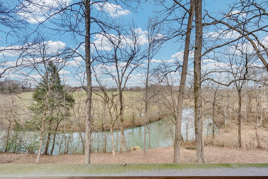 579 Blue Springs Road Sparta, TN 38583 - Photo 17 of 31