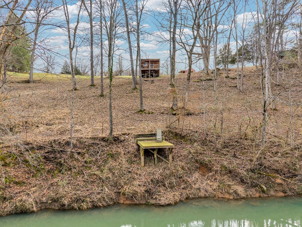 579 Blue Springs Road Sparta, TN 38583 - Photo 9 of 31