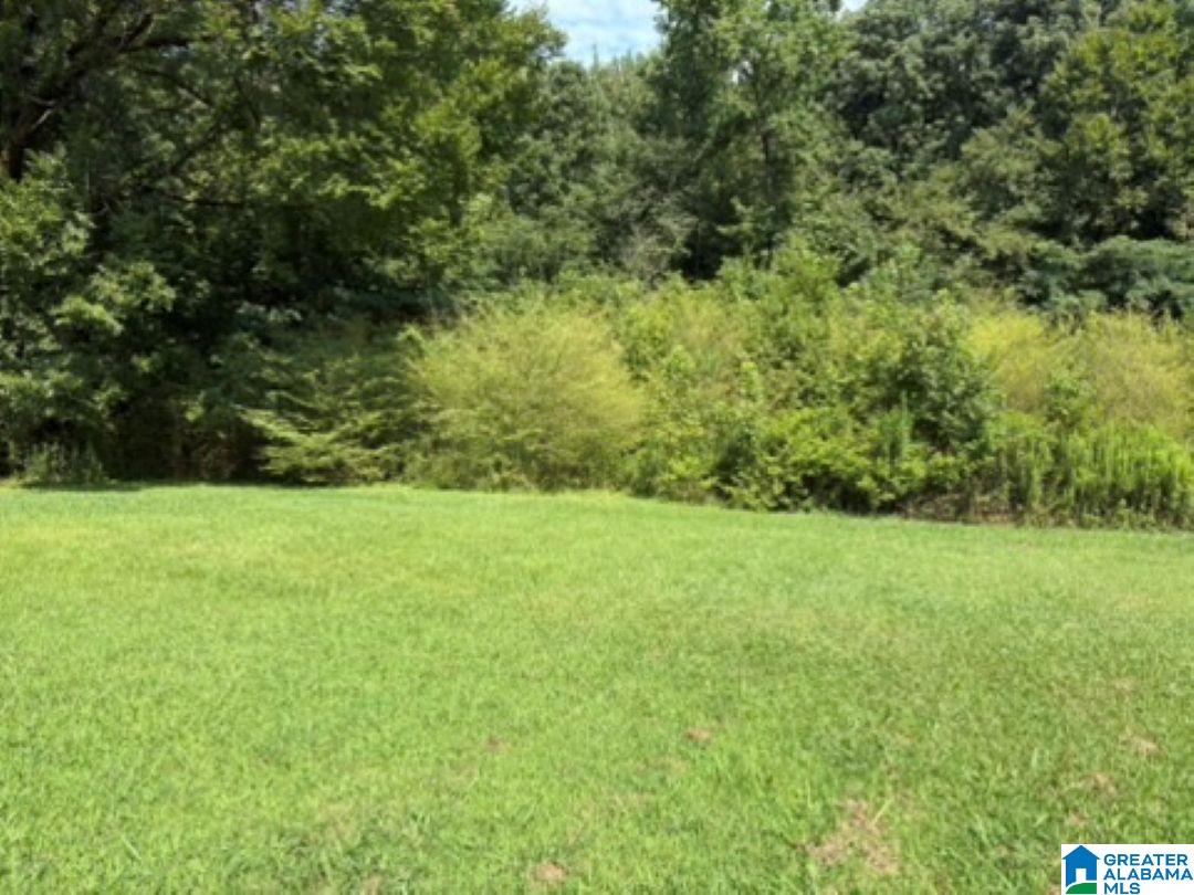 8393 Dunnavant Road Leeds, AL 35094 - Photo 10 of 24 Gallery Image 10