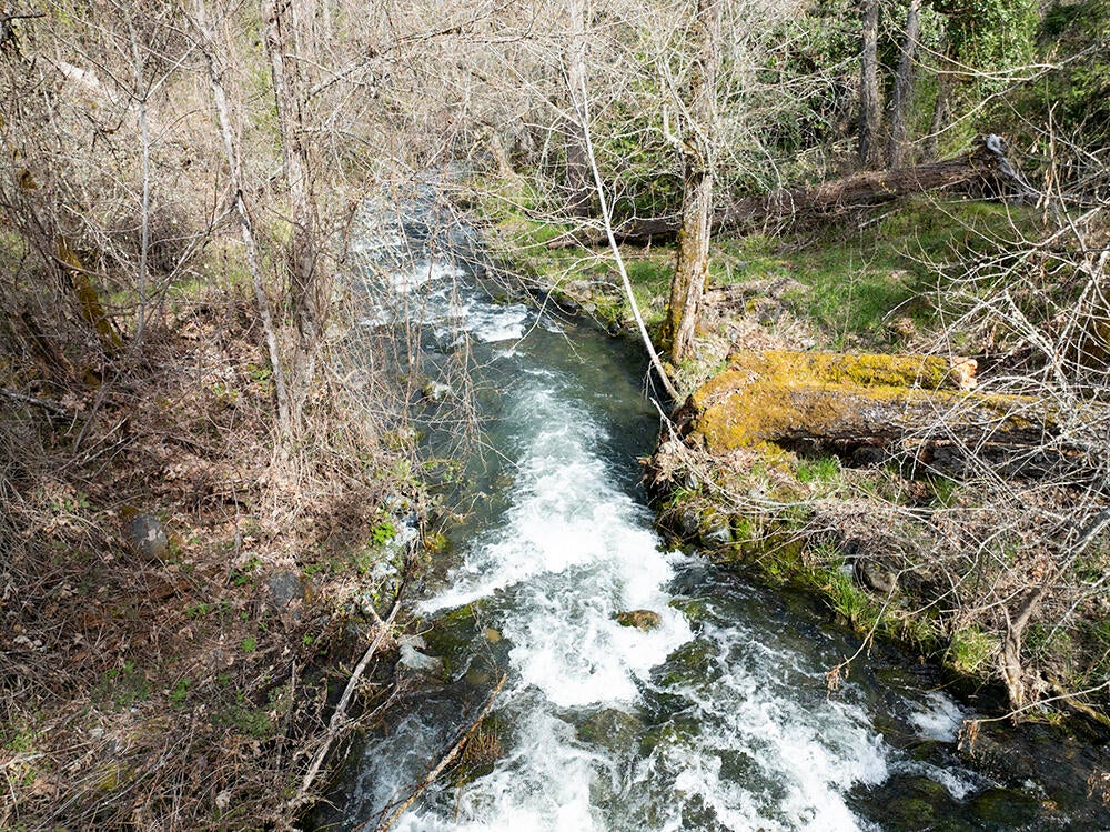 15150 Water Gap Road Williams, OR 97544 - Photo 43 of 53 50