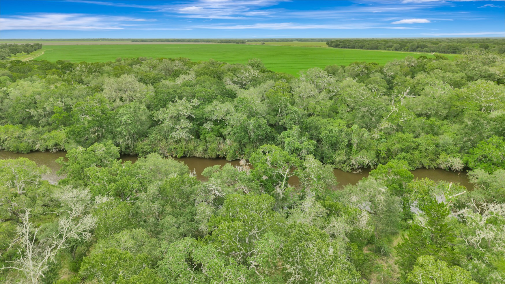 4600 Fm 1862 Road Palacios, TX 77465 - Photo 18 of 43