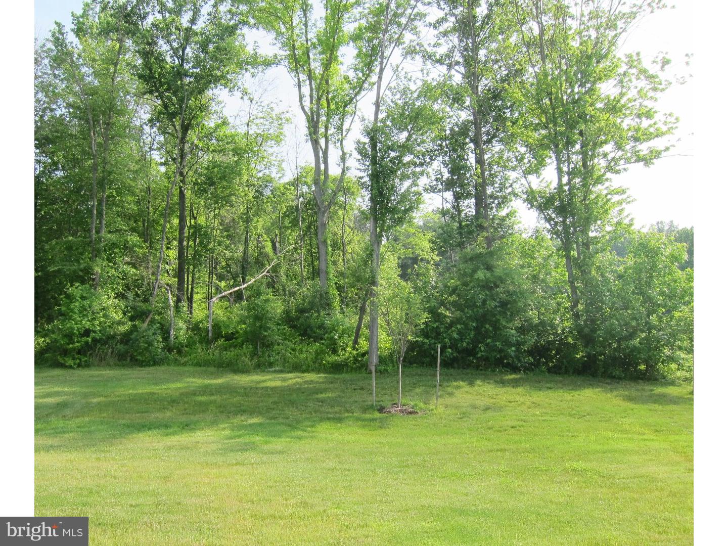 448 Welsh Hill Road Newark, DE 19702 - Photo 19 of 22 Back Yard
