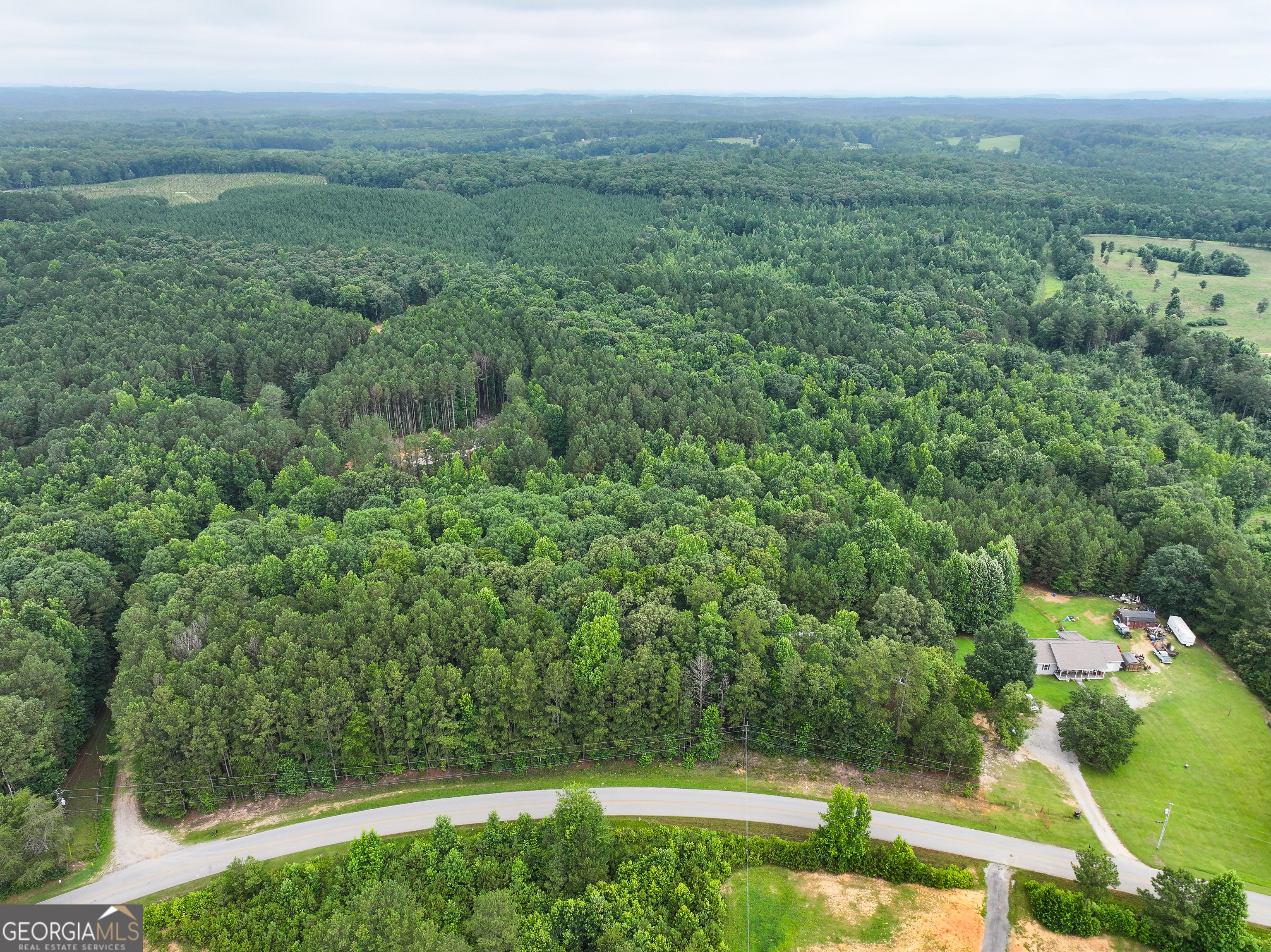 18 Acres On Pope Lake Road Buchanan, GA 30113 - Photo 23 of 36