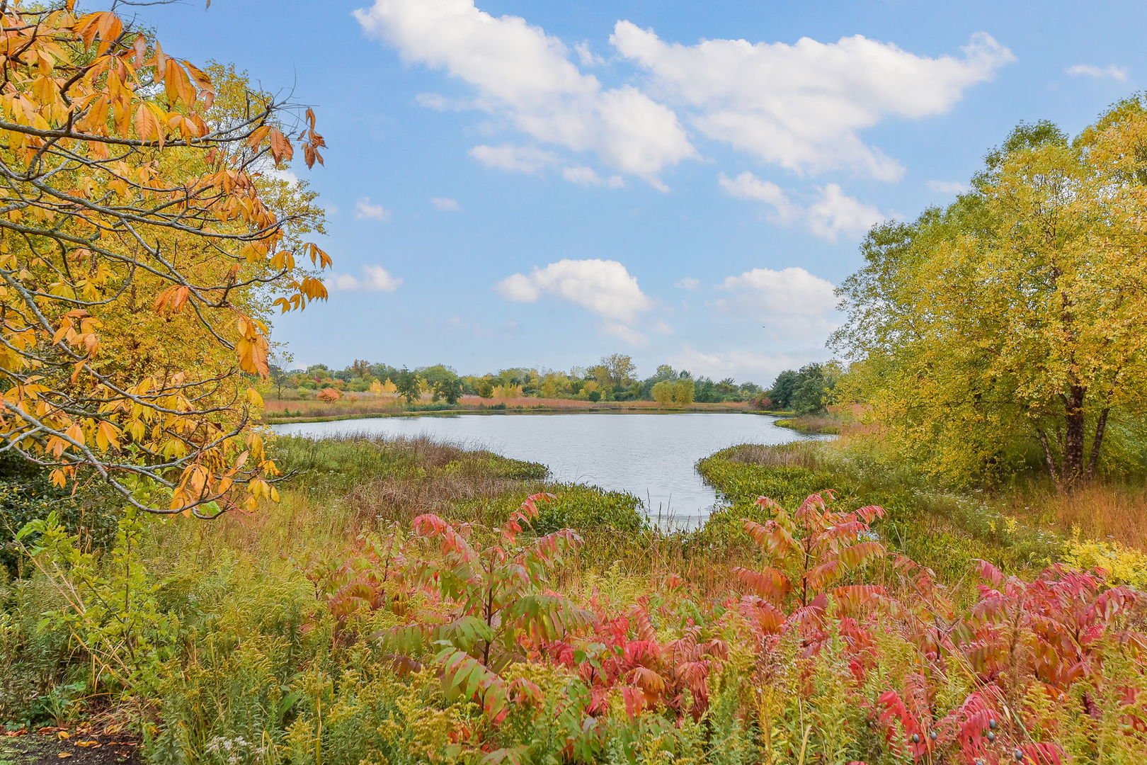 243 Bennett Drive Carol Stream, IL 60188 - Photo 22 of 23 a view of lake with green space