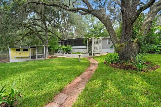 a view of a house with backyard and a tree
