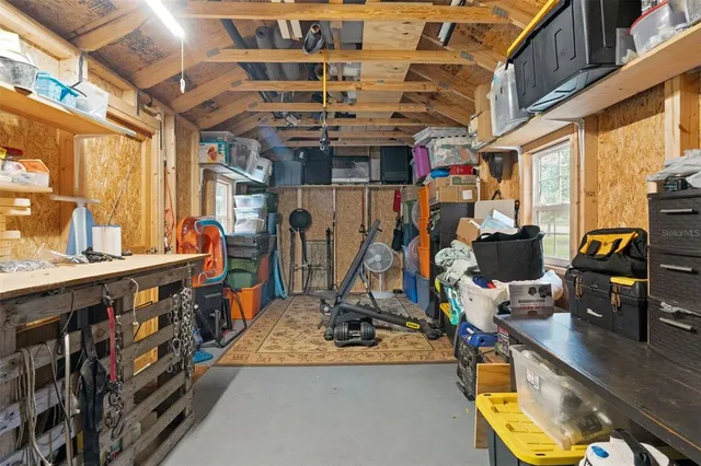 a view of a park with large trees