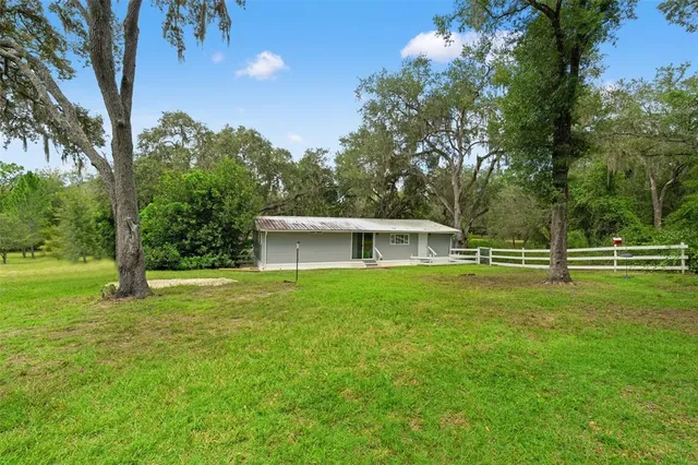 a view of a tree in a park