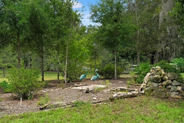 a view of a park with trees