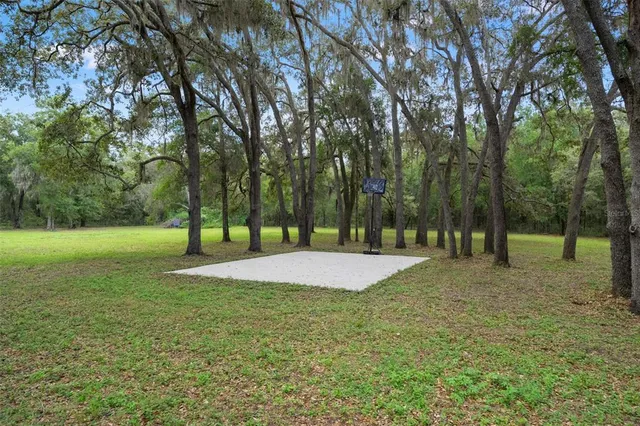 a view of a field with an ocean