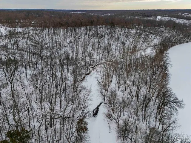 $1 | 345 Quarry Road, Silex, MO 63377