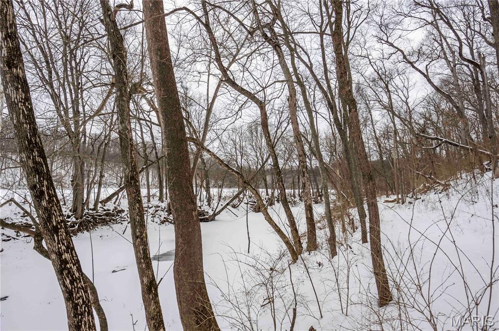 345 Quarry Road Silex, MO 63377 - Photo 16 of 80