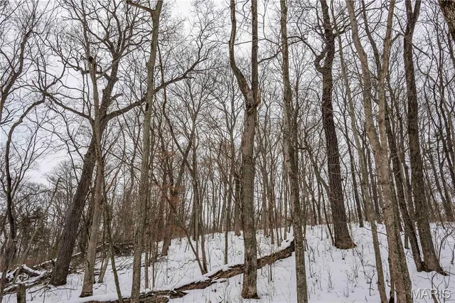 $1 | 345 Quarry Road, Silex, MO 63377