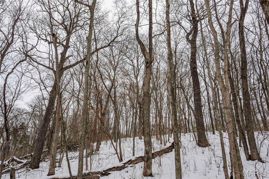 345 Quarry Road Silex, MO 63377 - Photo 17 of 80