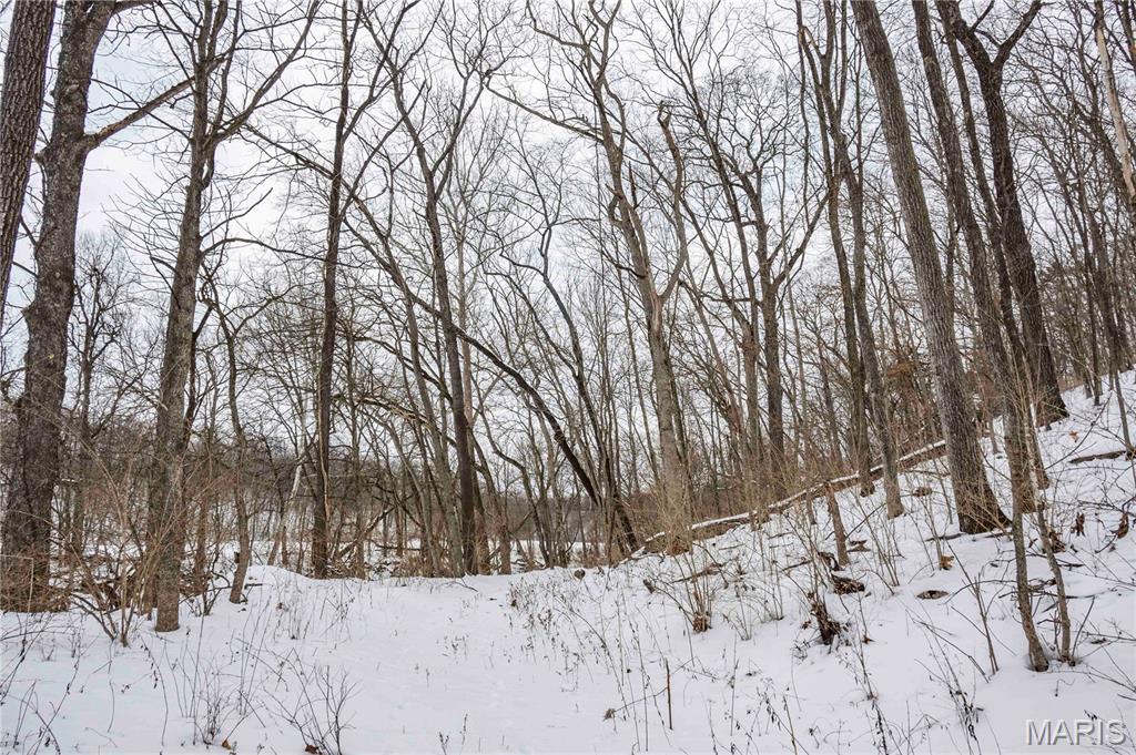 345 Quarry Road Silex, MO 63377 - Photo 18 of 80