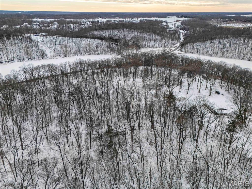 345 Quarry Road Silex, MO 63377 - Photo 2 of 80