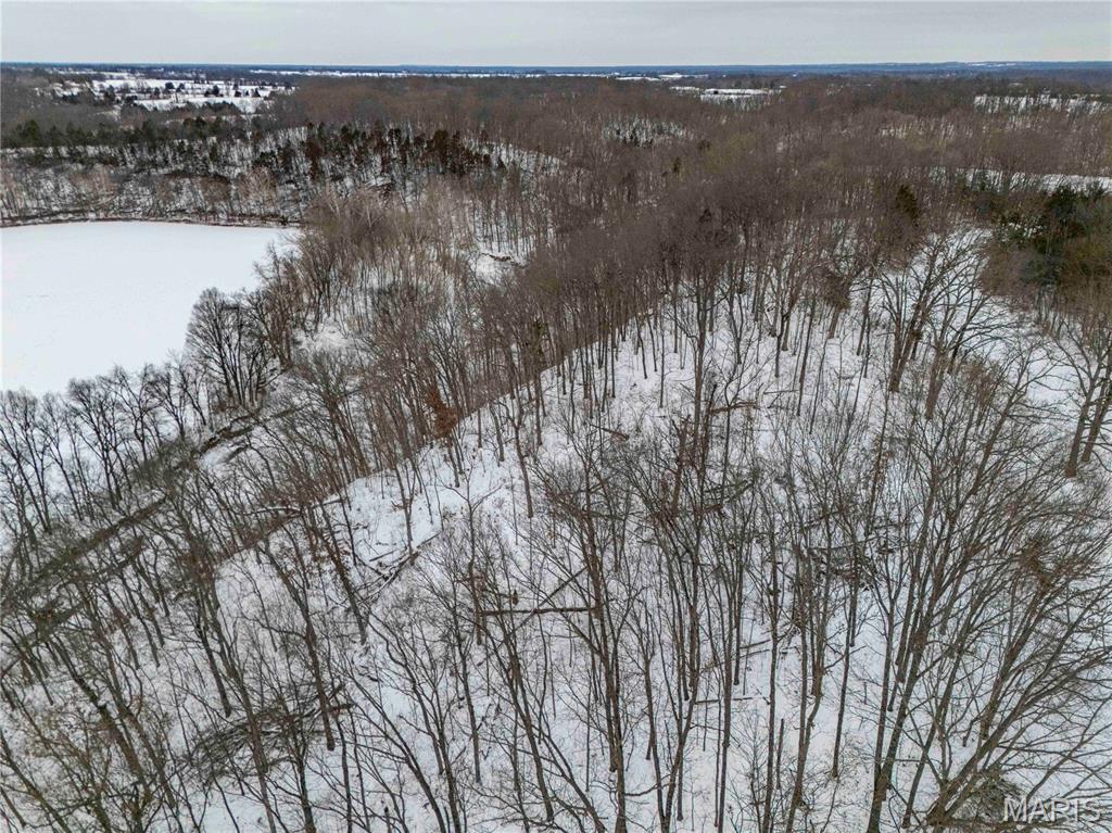 345 Quarry Road Silex, MO 63377 - Photo 21 of 80