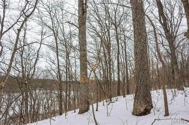 $1 | 345 Quarry Road, Silex, MO 63377