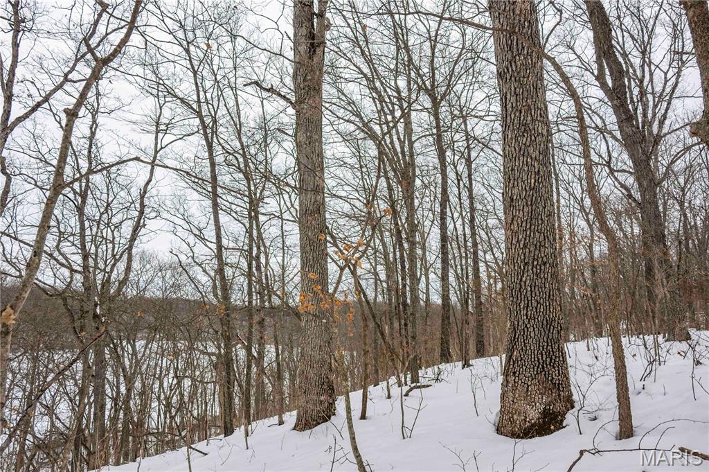 345 Quarry Road Silex, MO 63377 - Photo 25 of 80