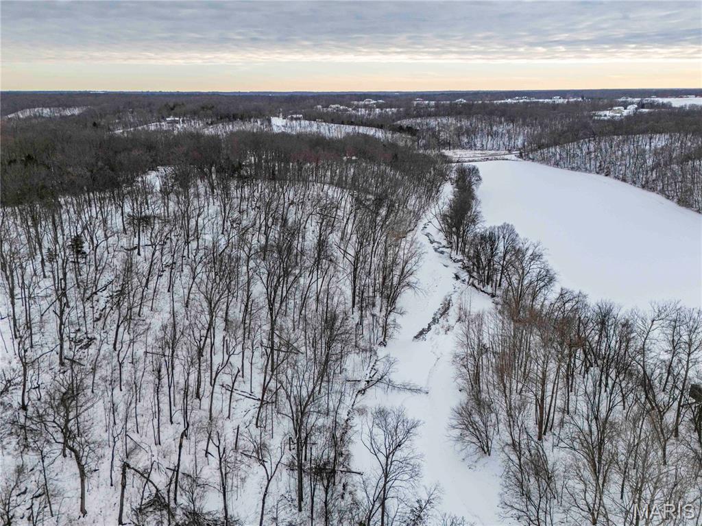 345 Quarry Road Silex, MO 63377 - Photo 26 of 80