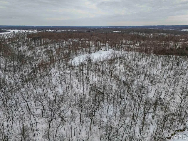 $1 | 345 Quarry Road, Silex, MO 63377