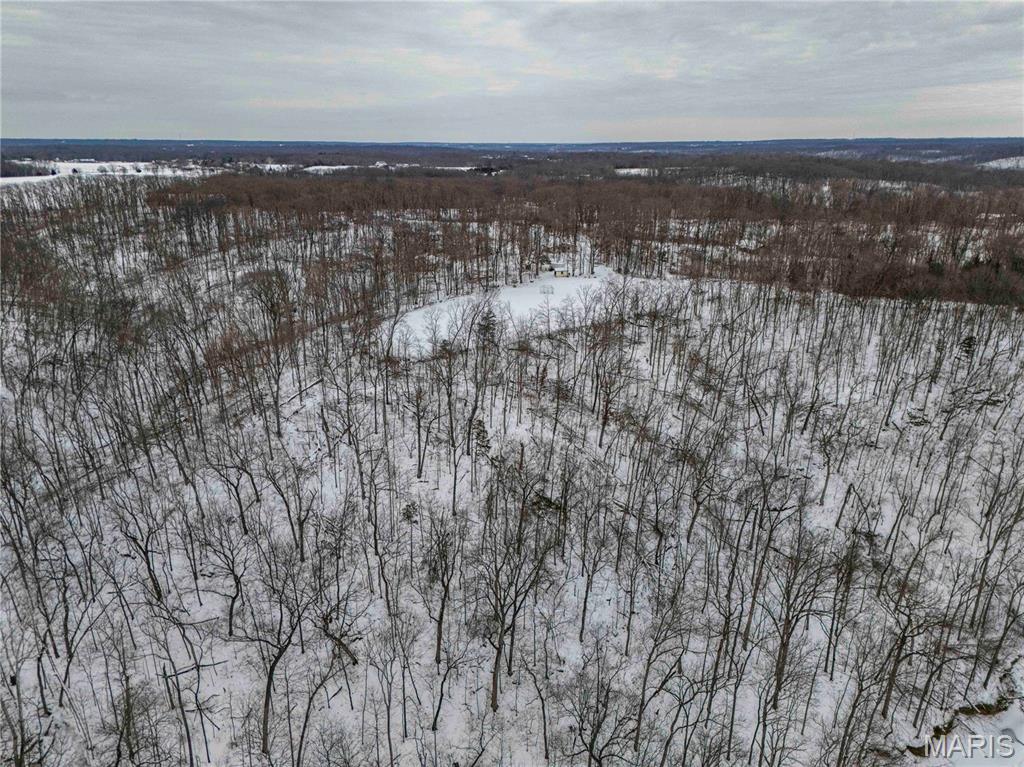 345 Quarry Road Silex, MO 63377 - Photo 27 of 80