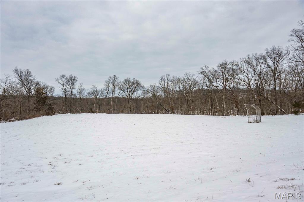 345 Quarry Road Silex, MO 63377 - Photo 32 of 80