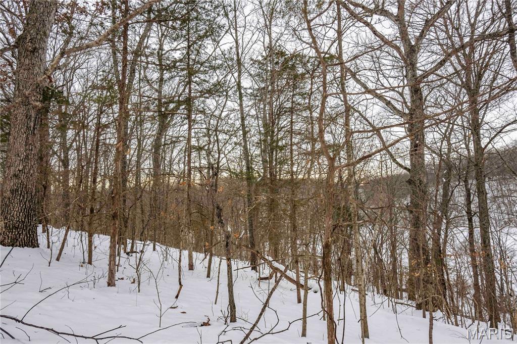 345 Quarry Road Silex, MO 63377 - Photo 34 of 80