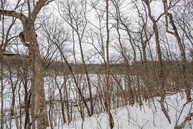 $1 | 345 Quarry Road, Silex, MO 63377