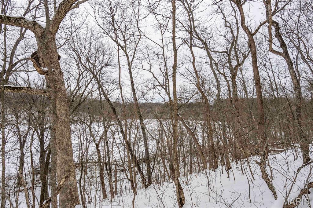 345 Quarry Road Silex, MO 63377 - Photo 35 of 80