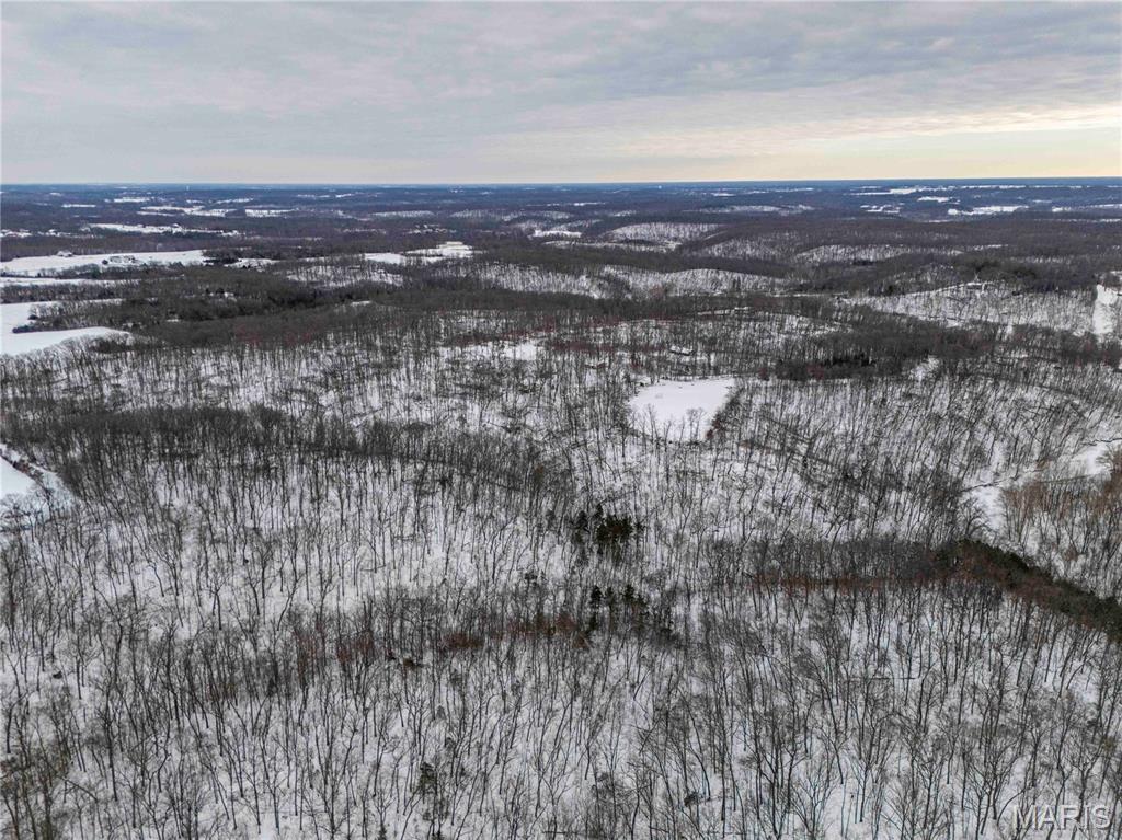 345 Quarry Road Silex, MO 63377 - Photo 36 of 80