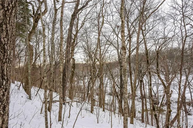 $1 | 345 Quarry Road, Silex, MO 63377