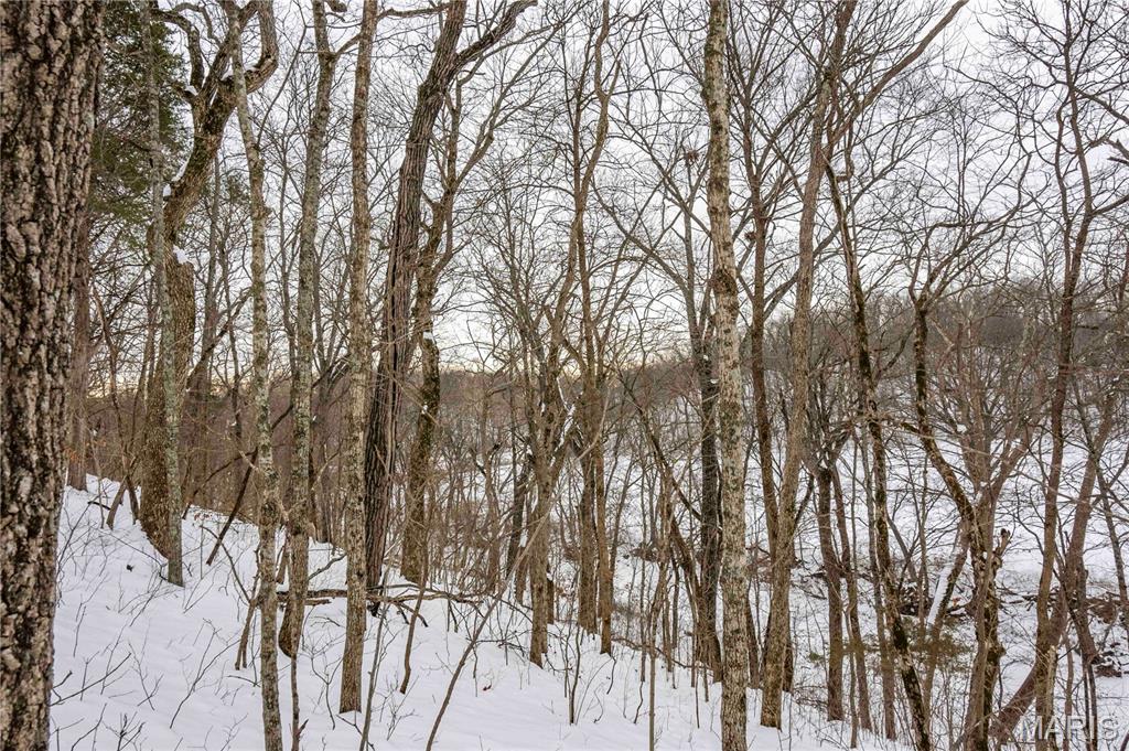 345 Quarry Road Silex, MO 63377 - Photo 37 of 80