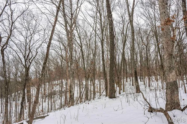 $1 | 345 Quarry Road, Silex, MO 63377