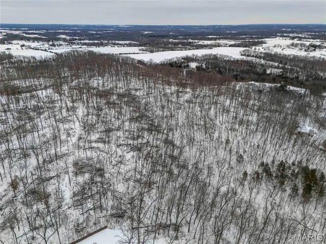 $1 | 345 Quarry Road, Silex, MO 63377