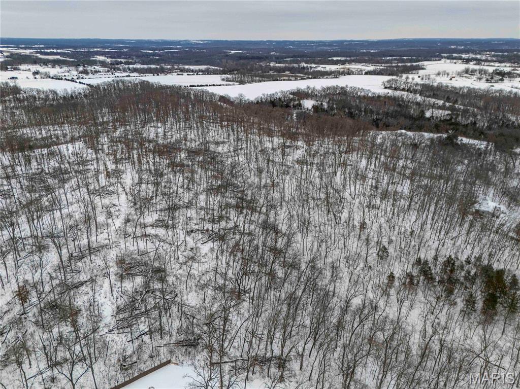 345 Quarry Road Silex, MO 63377 - Photo 40 of 80