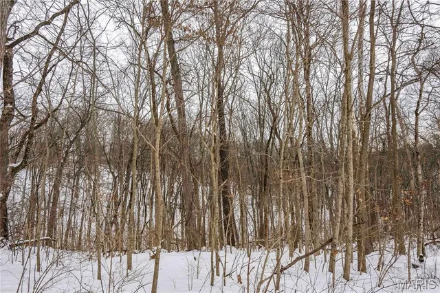 $1 | 345 Quarry Road, Silex, MO 63377