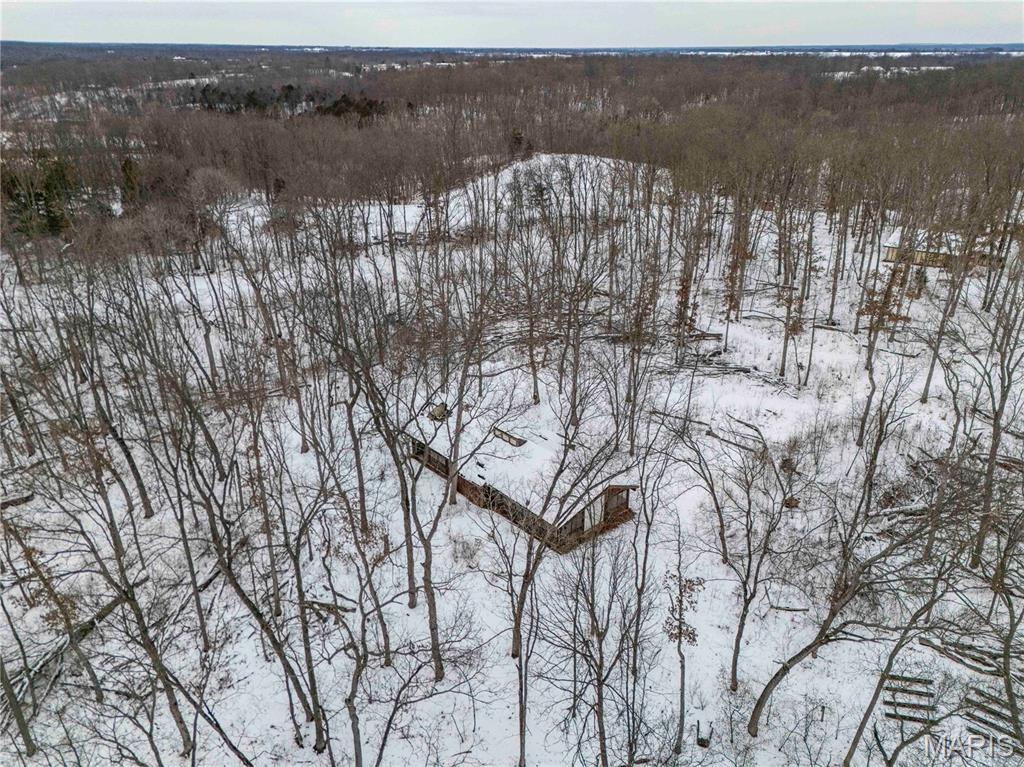 345 Quarry Road Silex, MO 63377 - Photo 41 of 80