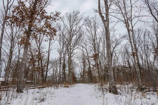 $1 | 345 Quarry Road, Silex, MO 63377