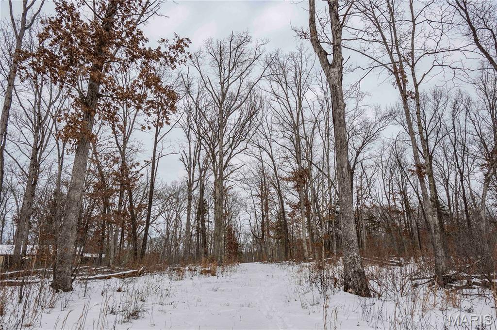 345 Quarry Road Silex, MO 63377 - Photo 46 of 80