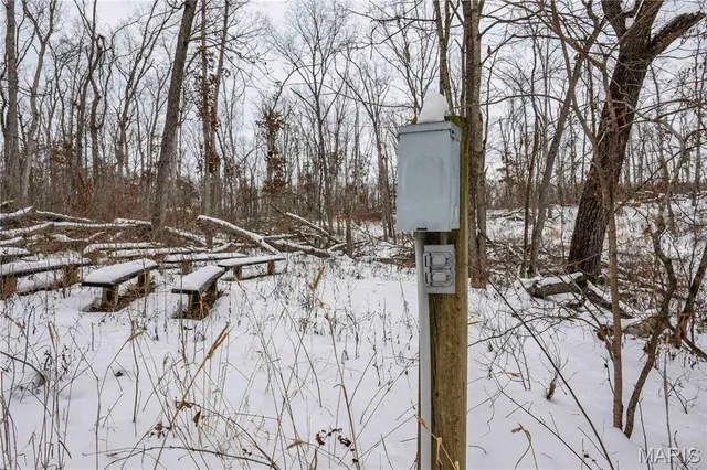 $1 | 345 Quarry Road, Silex, MO 63377