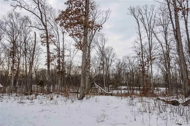 $1 | 345 Quarry Road, Silex, MO 63377