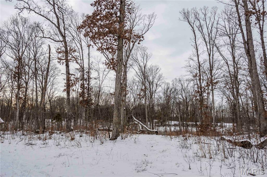 345 Quarry Road Silex, MO 63377 - Photo 48 of 80