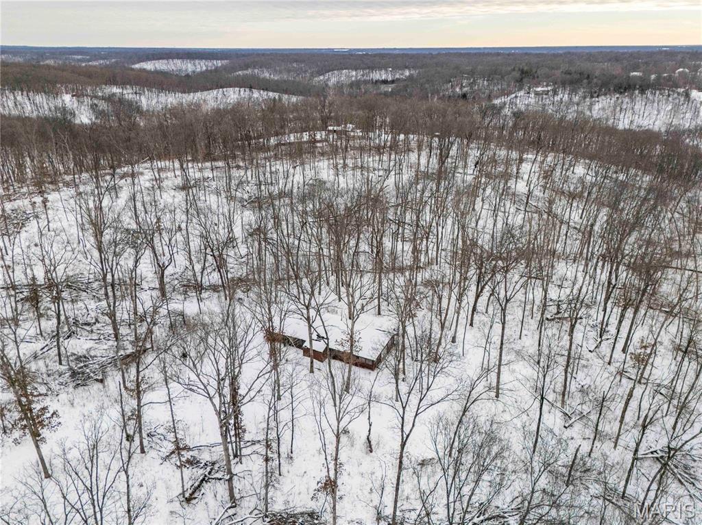 345 Quarry Road Silex, MO 63377 - Photo 49 of 80