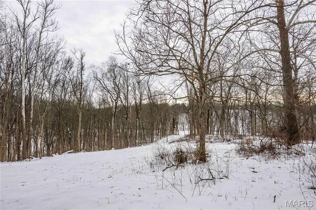 $1 | 345 Quarry Road, Silex, MO 63377