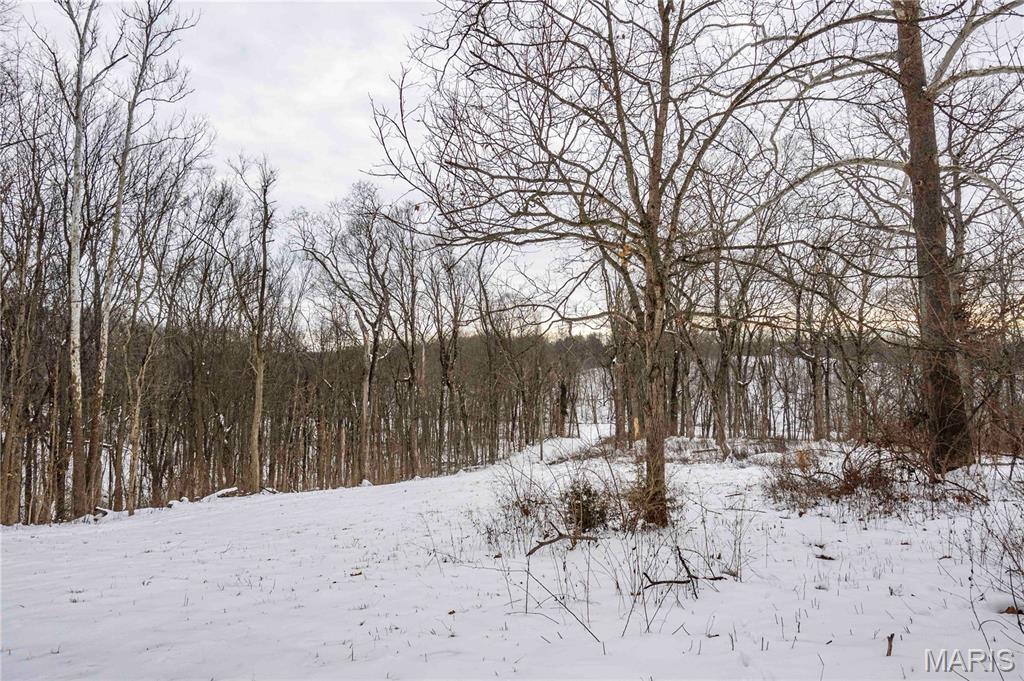 345 Quarry Road Silex, MO 63377 - Photo 5 of 80