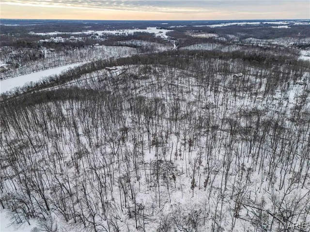 $1 | 345 Quarry Road, Silex, MO 63377