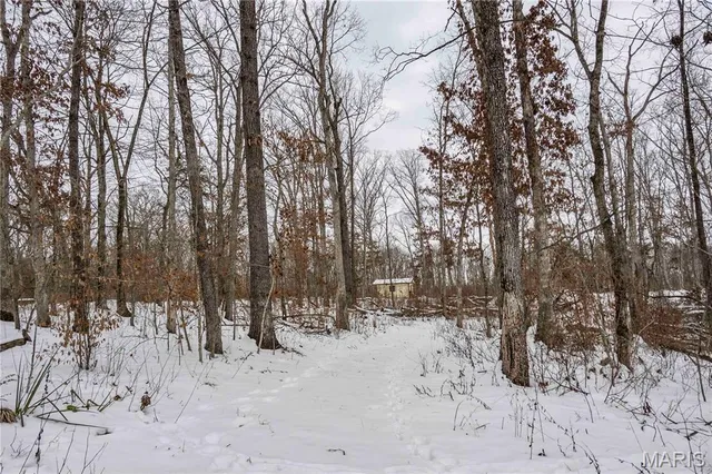 $1 | 345 Quarry Road, Silex, MO 63377