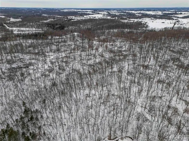 $1 | 345 Quarry Road, Silex, MO 63377